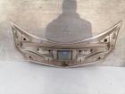 Renault Modus Motorhaube Frontklappe Deckel vorn TED12 Champagner BJ04-08