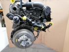 Ford Focus 4 original Motor Ztda 1,5TD 88KW funktionsgeprüft Bj.2018