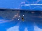 Peugeot 207 original Heckklappe mit Scheibe EGJ Blau Santorin Rohbau BJ07