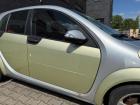 Smart ForFour 454 original Tür vorn rechts EAR Melon Green Rohbau BJ05