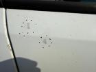 Opel Corsa D original Tür vorn rechts Y474 Casablancaweiß Rohbau 5 Türer BJ08