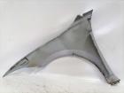 VW Passat B9 original Kotflügel vorn rechts LM7P Oyster Silver Bj.2024 VW Passat B9 original Kotflügel vorn rechts LM7P Oyster Silver Bj.2024