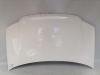 Fiat Panda 169 original Motorhaube 268 Bianco weiß BJ12