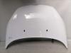 Ford Fiesta 2AJ original Motorhaube Frost Weiß Bj.2011