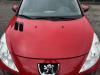 Peugeot 206+ original Motorhaube KKN Rot Aden Bj.2010